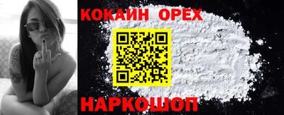 Альфа ПВП Новозыбков