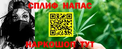 Альфа ПВП Новозыбков