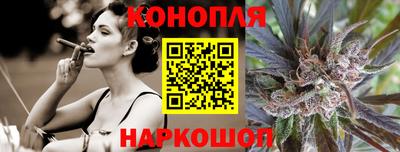 Альфа ПВП Новозыбков