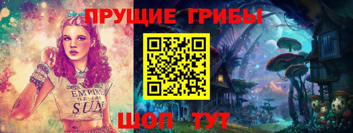 Псилоцибиновые грибы Psilocybine cubensis  Вход с VPN  Псилоцибиновые грибы Cubensis  Прокопьевск 