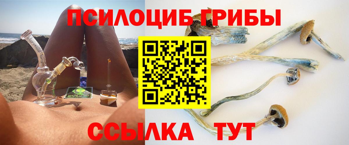 Псилоцибиновые грибы GOLDEN TEACHER Прокопьевск